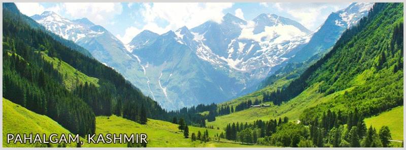 12 Nights - 13 Days Kashmir Tour Package