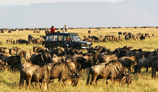 3 Days 2 Nights  Masai Mara