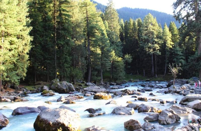 Kashmir Tour 4 Night 5 Days