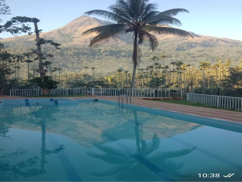 Golden September package