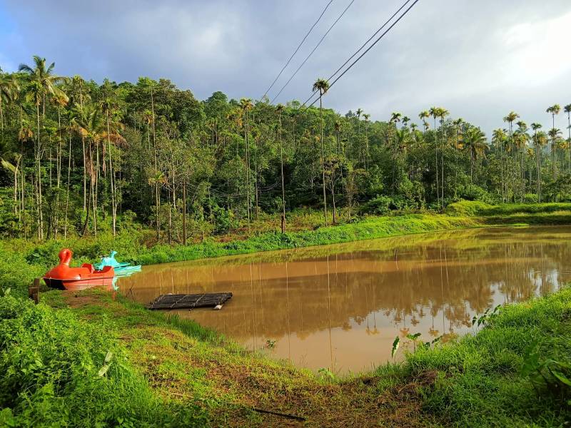 Golden September package