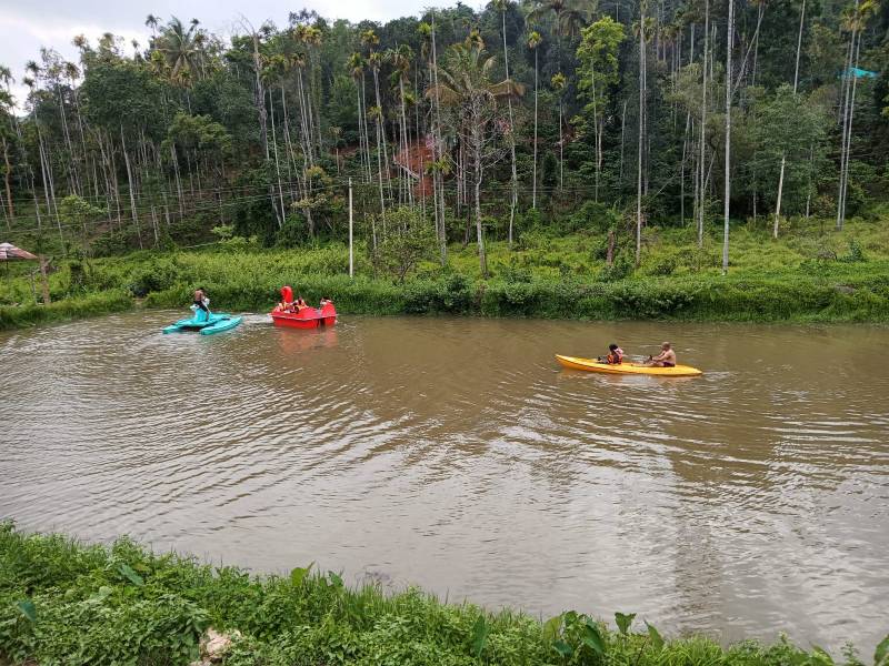 Golden September package