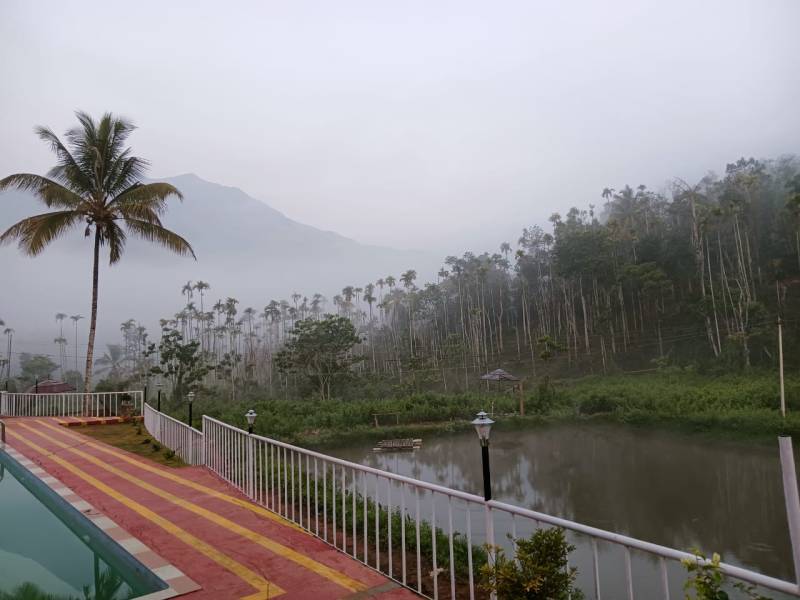 Golden September package