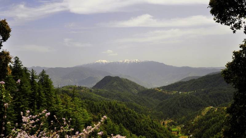 3 Nights 4 Days In Shimla And Chail Tour
