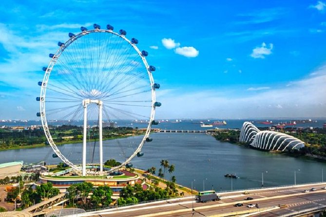 Singapore Flyer Ticket And Dinner Tour