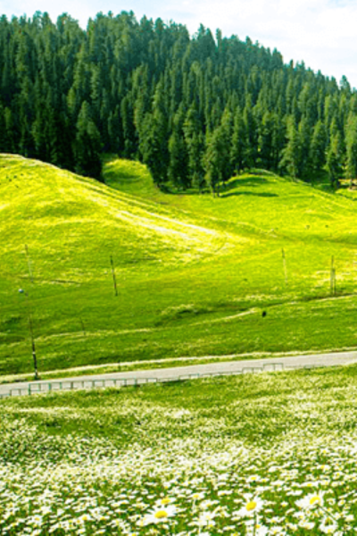 4 Nights 5 Days Tour Package To Kashmir