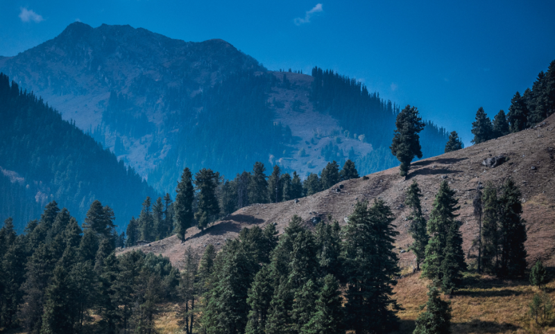 4 Nights 5 Days Tour Package To Kashmir