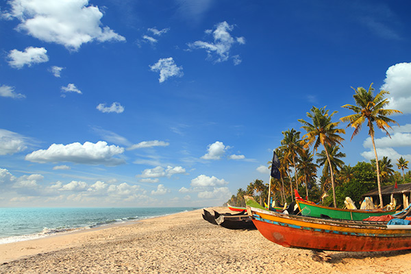 Sun Kissed Escape Summer Delights In Goa 3N 4D - South Goa Tour