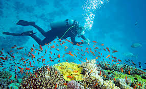 5 Nights - 6 Days Andaman Beach Tour