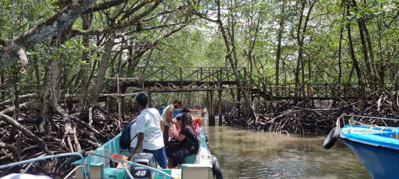 Group Tour Package For Andaman