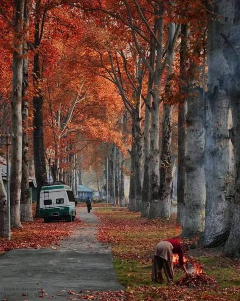 6 Night 7 Days Luxury tour to Kashmir