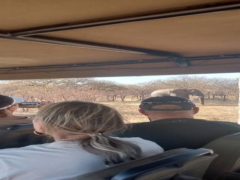 1 Day Chobe Full Day Trip