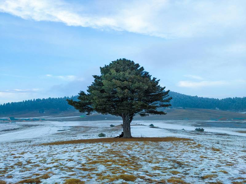 4 Nights 5 Days Kashmir Trip