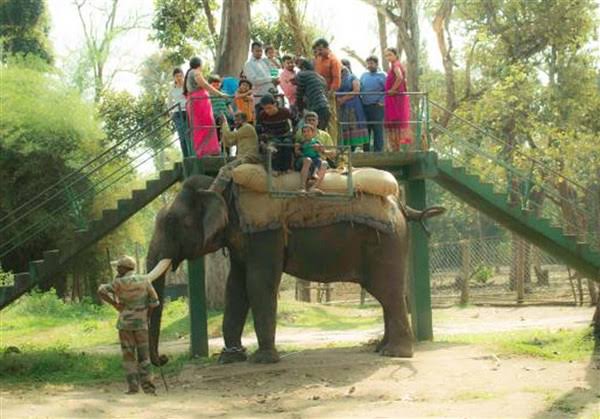 1 Nights 2 Days Mysore to Coorg Tour Package