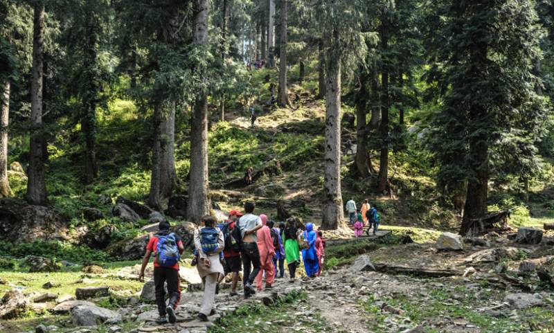 2 Days Churdhar Trek Sirmour - Himachal Pradesh Tour