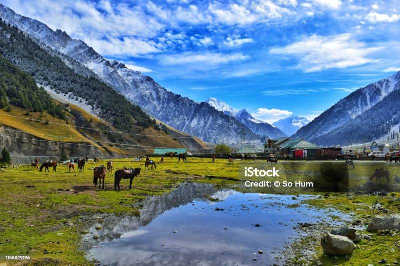 4D/3N Gulmarg Package