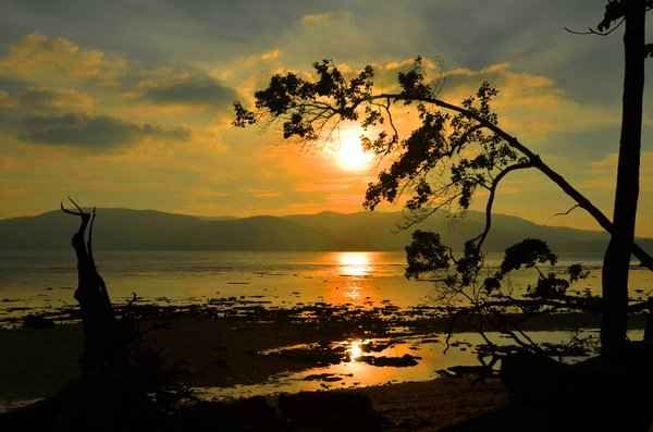 Andaman Elite ( 7 Nights - 8 Days)