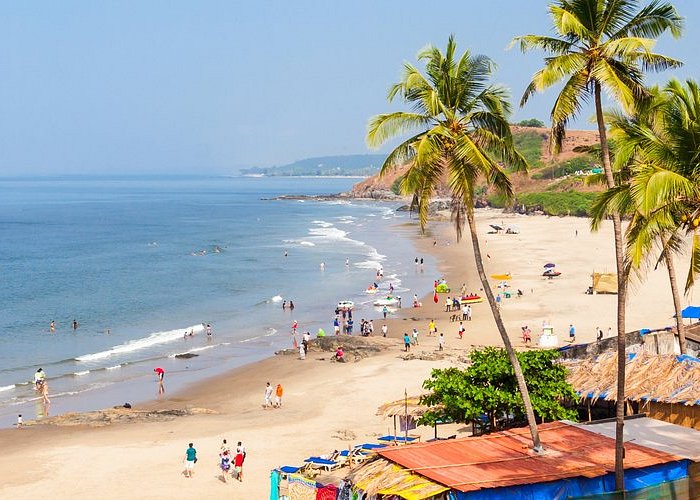 New Year Goa tour