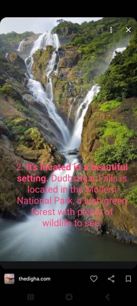 Dudhsagar Trip.. with pick up drop