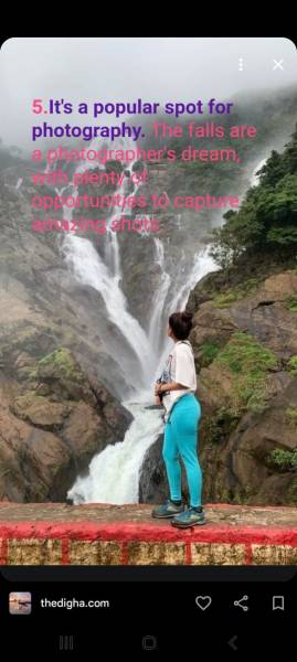 Dudhsagar Trip.. with pick up drop