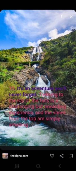 Dudhsagar Trip.. with pick up drop