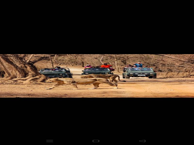 Ahemdabad - Jamnagar - Dwarka - Somnath - Sasan Gir 5 Nights 6 Days Tour