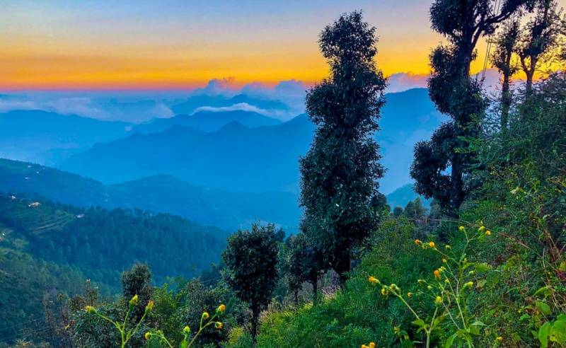 mussoorie dhanaulti tour package from delhi
