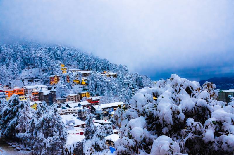 5 Nights 6 Days Shimla - Kufri - Manali Tour