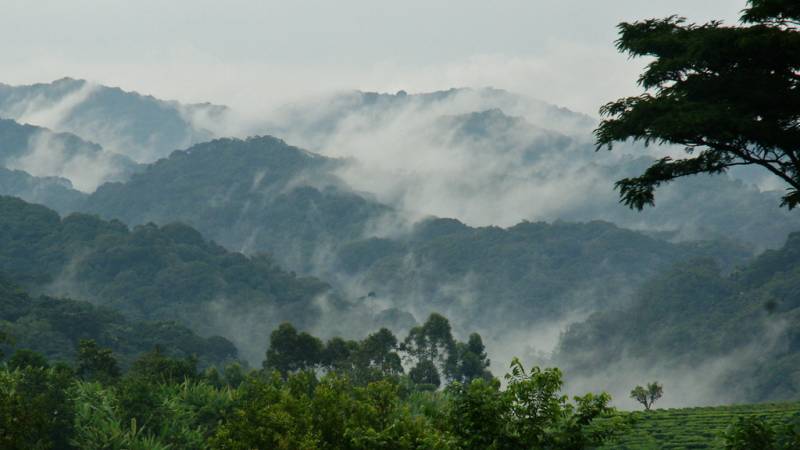 3 Days Bwindi Gorilla Trekking