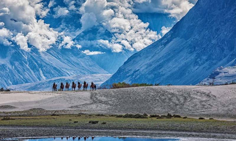 Ladakh Tour Package