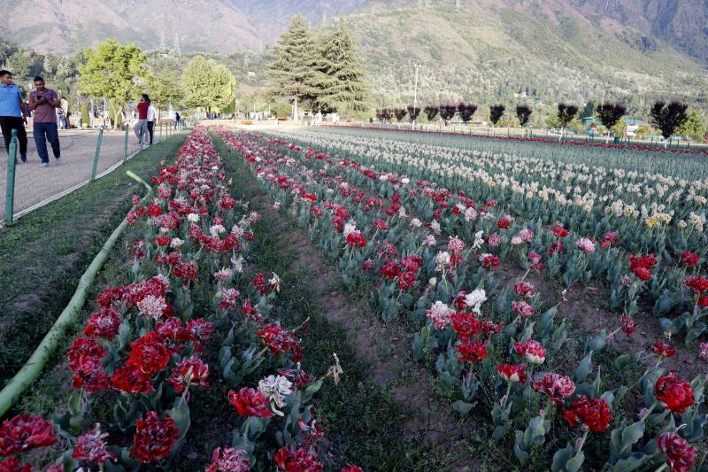 4 Nights 5 Days Kashmir With Tulip Garden Tour