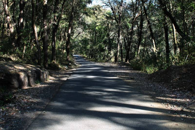 Uncover the magic Nainital