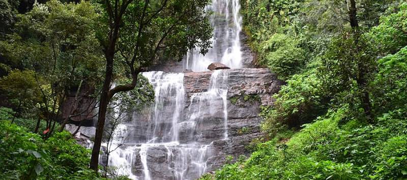 Chikmagalur One Day Trip Package