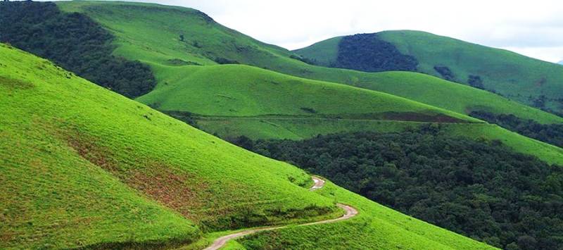 Chikmagalur One Day Trip Package