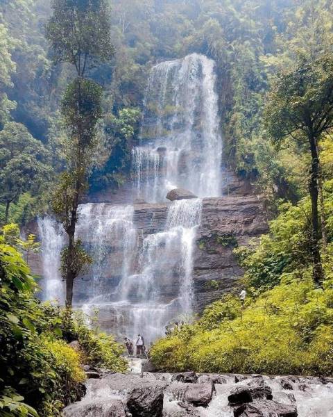 Chikmagalur One Day Trip Package