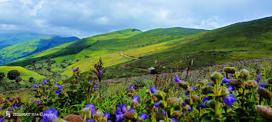 Chikmagalur One Day Trip Package