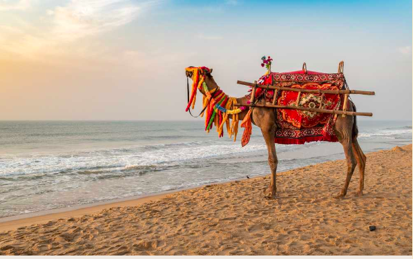 West Bengal Tour Package 6 Nights & 7 Days