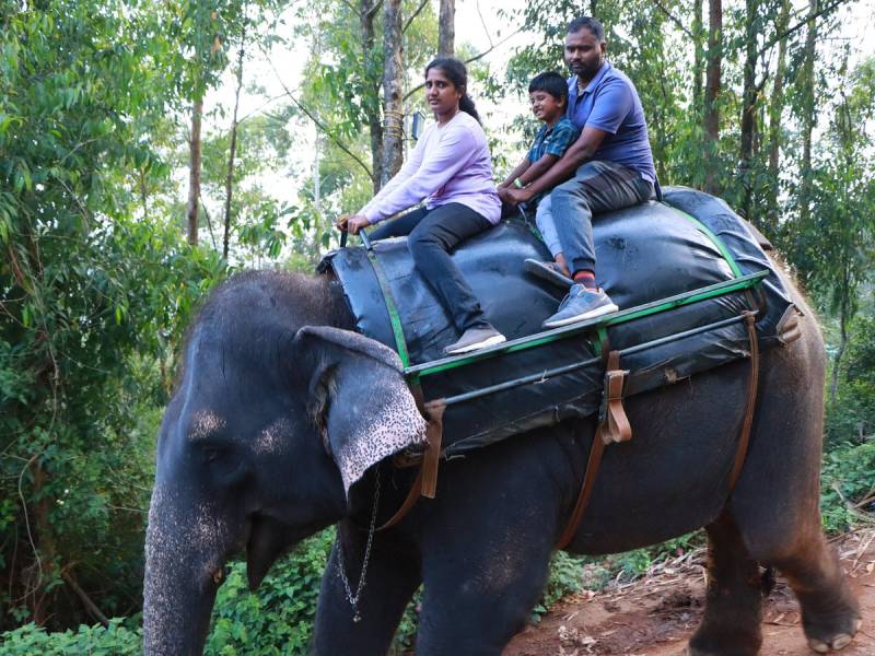 2NIGHT 3DAYS PACKAGE