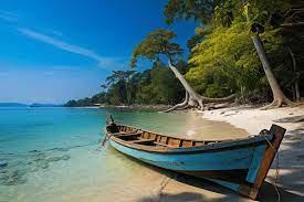 Andaman Tour Package