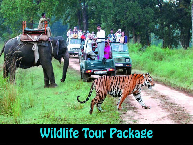 5 Days Wildlife Tour Package In Uttarakhand