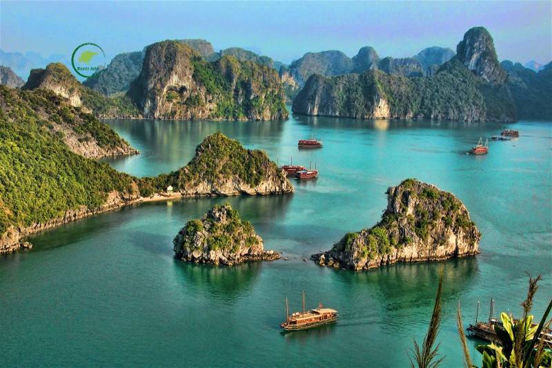 Hanoi - Halong Bay 1 Day Trip