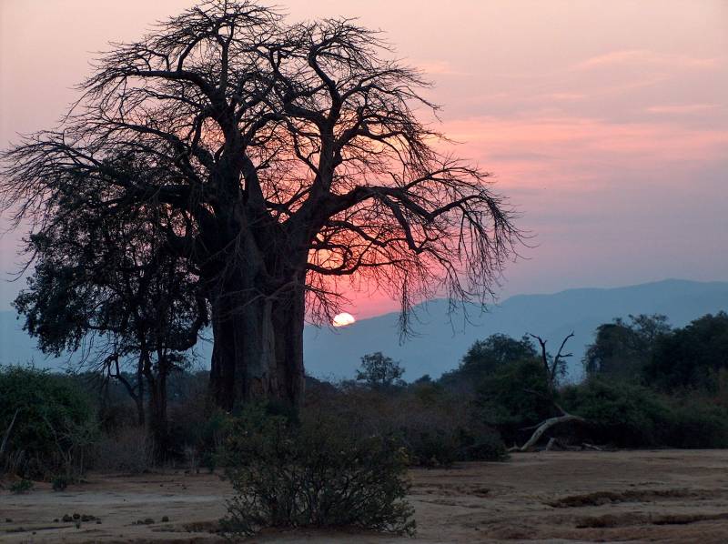 Victoria Falls Day Trip