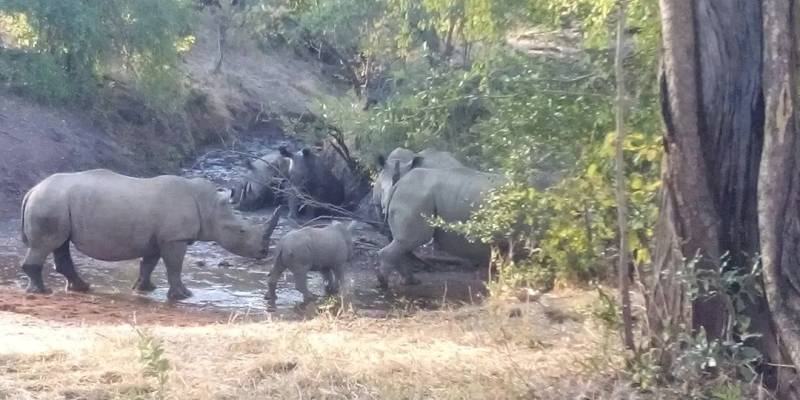 Livingstone Historical Trip