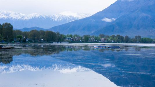 4night 5 day trip to Kashmir