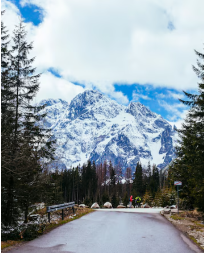 3Nights 4Days Kashmir Tour Package