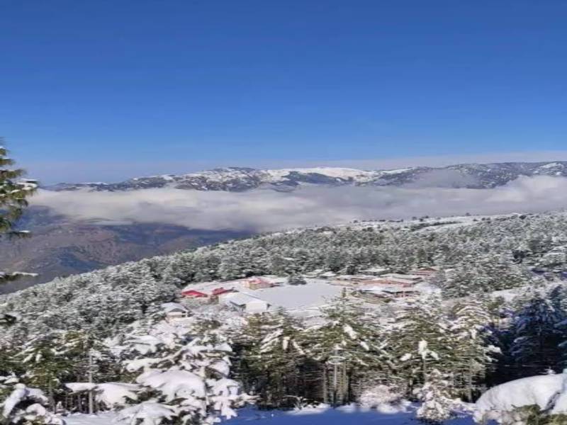 3 nights 4 days Delhi to Shaita Dhar Valley