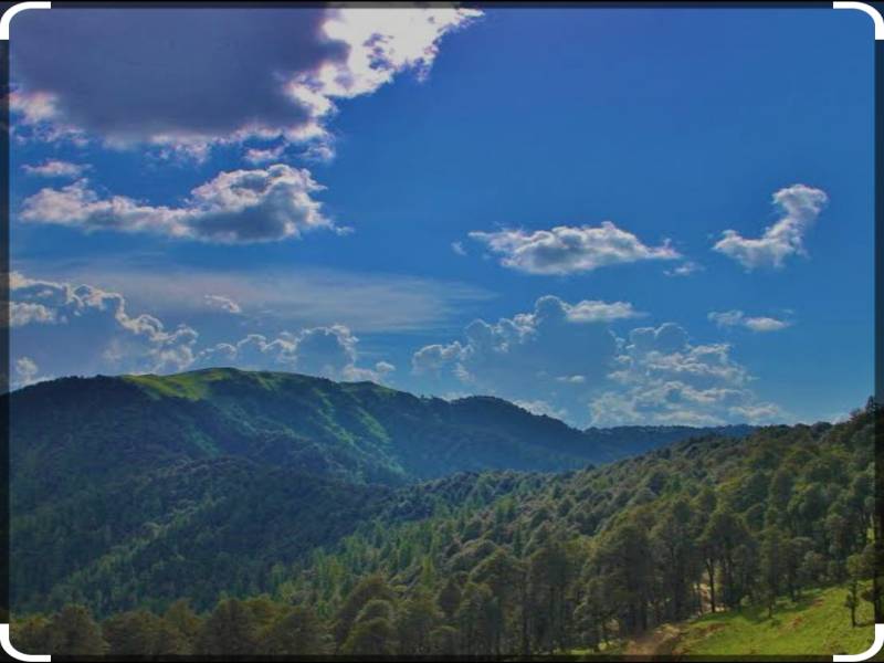 3 Days Jibhi And Tirthan Valley Tour Package