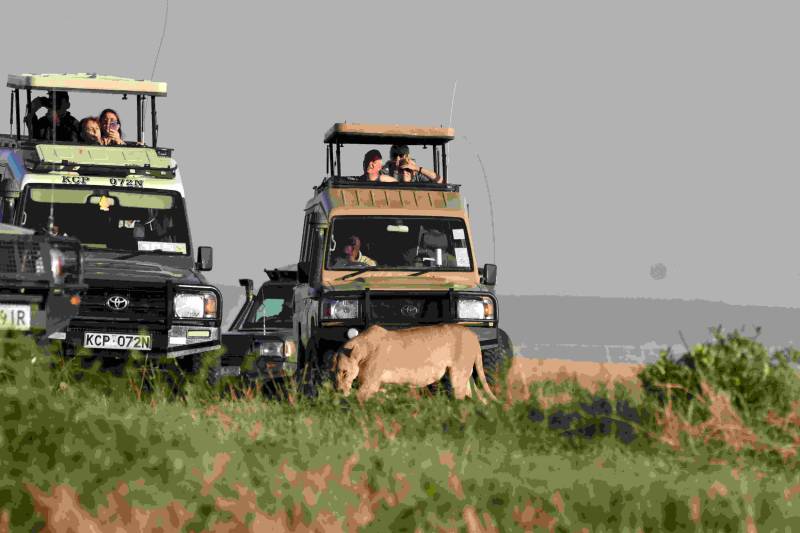 9 Days Adventure Family Safari In Kenya Tour