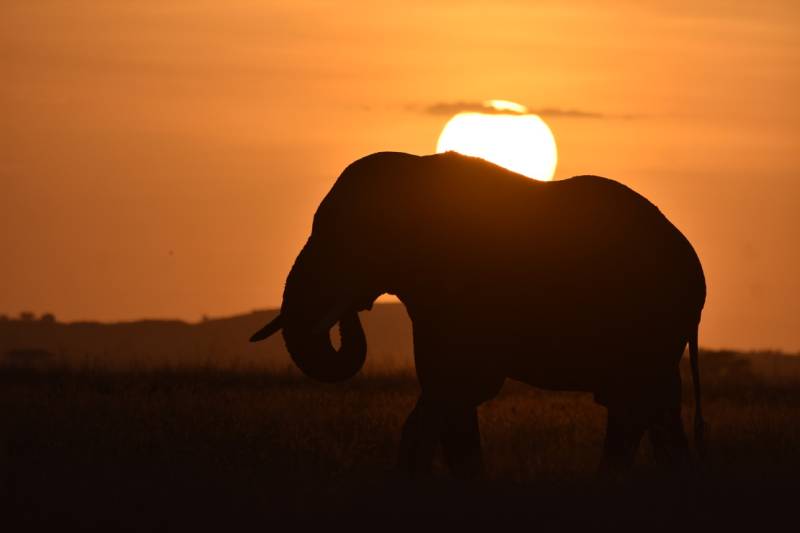 8 Days Best Kenya Family Safari And Beach Holiday Tour