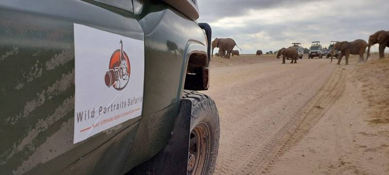 7 Nights Mid-range Masai Mara Mombasa Safari